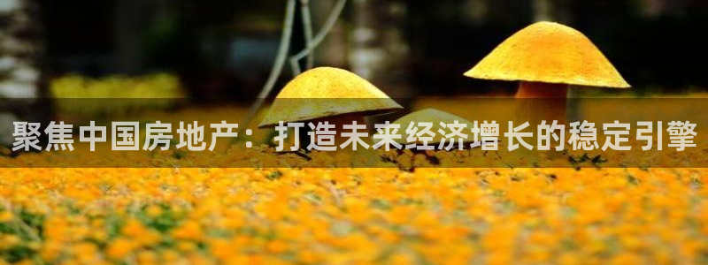 天狮娱乐 b内部61166：聚焦中国房地产：打造未来经济增长