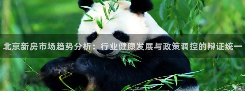 天狮娱乐 官方注册官网：北京新房市场趋势分析：行业健康发展与