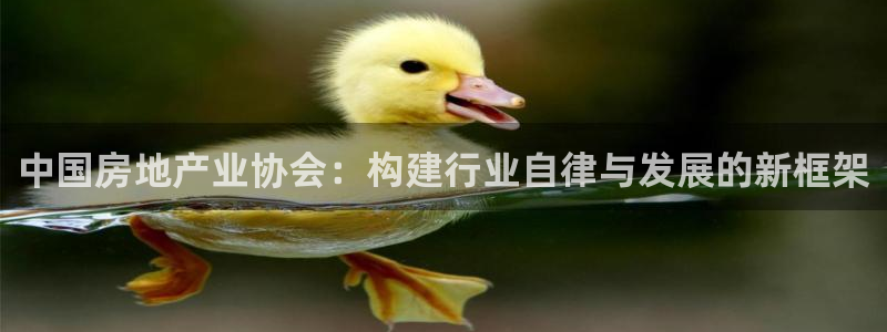 天狮娱乐彩票靠谱吗
