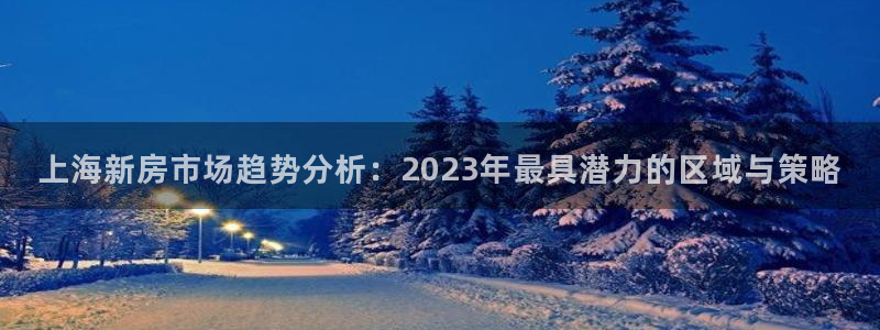 天狮娱乐 23976实z力：上海新房市场趋势分析：2023年