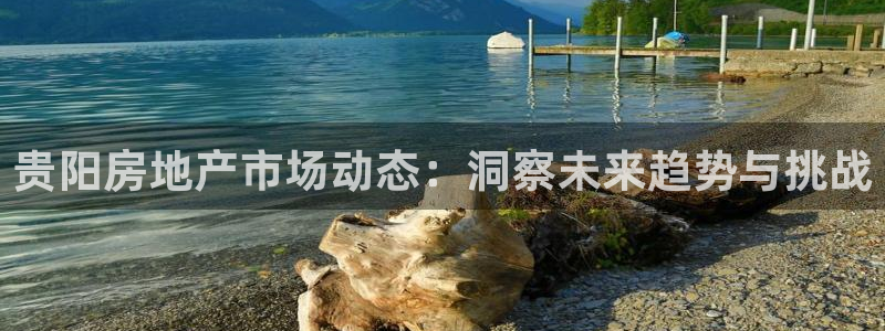 天狮娱乐：贵阳房地产市场动态：洞察未来趋势与挑战