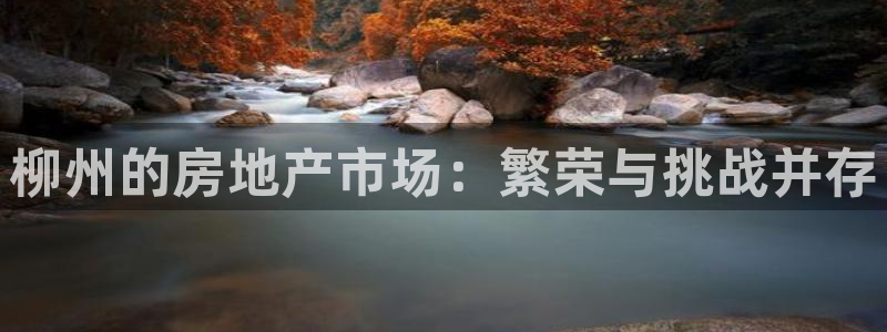 天狮娱乐购彩平台：柳州的房地产市场：繁荣与挑战并存