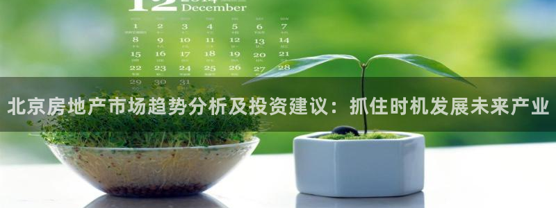 天狮娱乐指尖下载安装：北京房地产市场趋势分析及投资建议：抓住