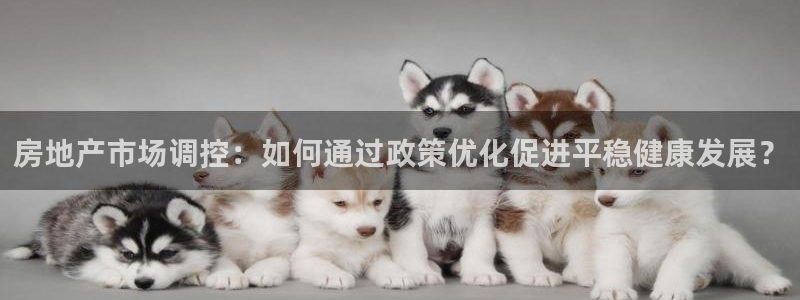 天狮娱乐手机：房地产市场调控：如何通过政策优化促进平稳健康发