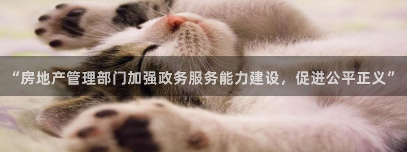 天狮娱乐是黑台子吗：“房地产管理部门加强政务服务能力建设，促