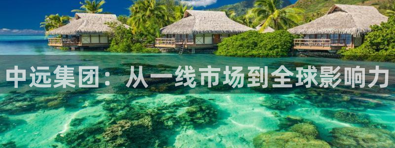 天狮娱乐多：中远集团：从一线市场到全球影响力