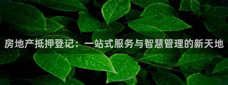 天狮娱乐q39096s：房地产抵押登记：一站式服务与智慧管理