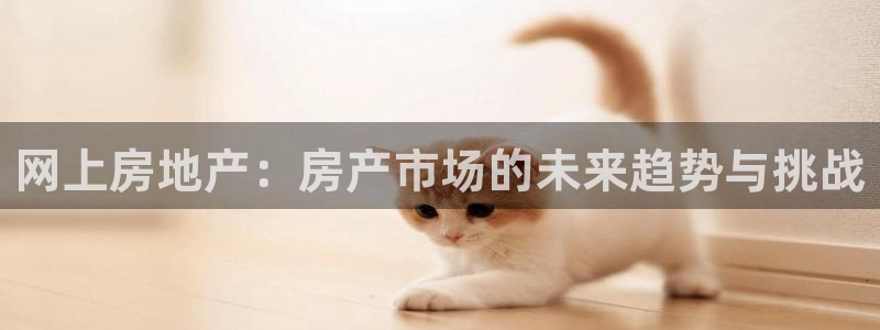 天狮娱乐是黑台子吗：网上房地产：房产市场的未来趋势与挑战