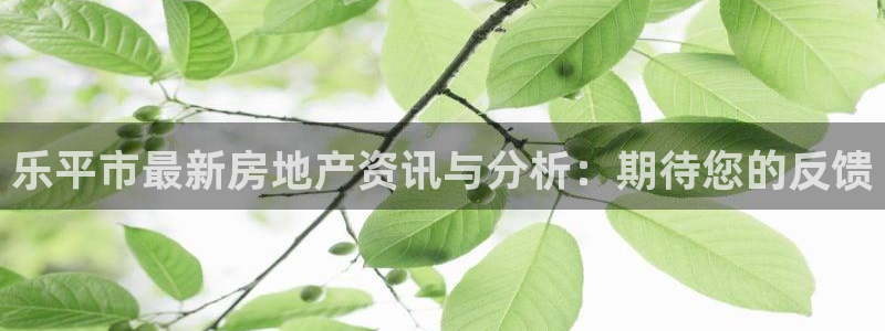 天狮娱乐真的吗：乐平市最新房地产资讯与分析：期待您的反馈