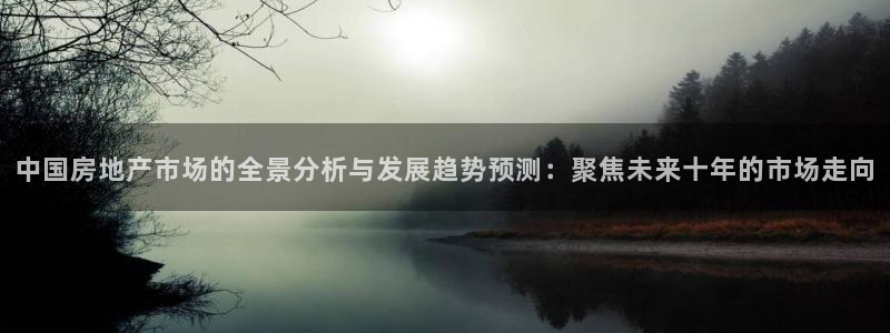 天狮娱乐官网登录：中国房地产市场的全景分析与发展趋势预测：聚