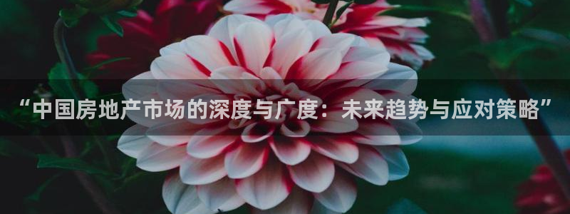 天狮娱乐d 判官：“中国房地产市场的深度与广度：未来趋势与应