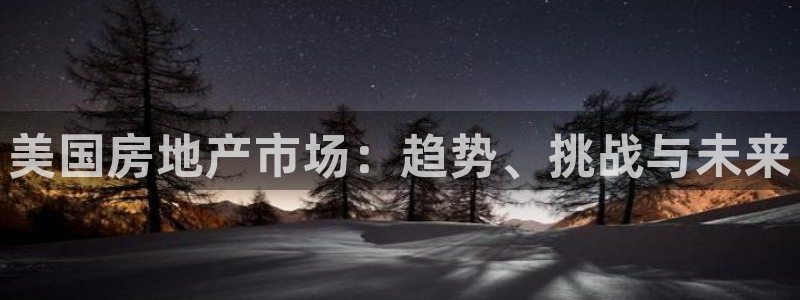 天狮娱乐能赚钱吗：美国房地产市场：趋势、挑战与未来