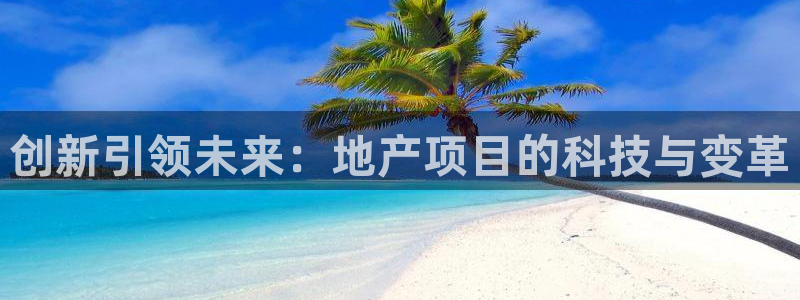 天狮娱乐- 0 招a商：创新引领未来：地产项目的科技与变革
