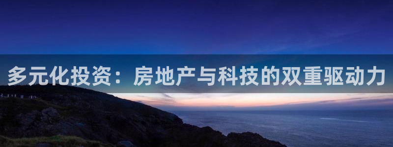 天狮娱乐 卧j主管60447：多元化投资：房地产与科技的双重