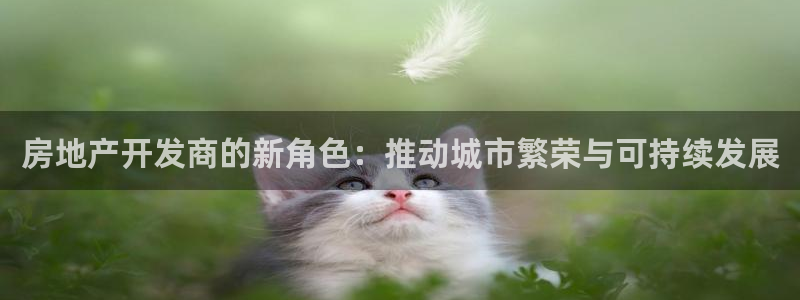 天狮娱乐网站：房地产开发商的新角色：推动城市繁荣与可持续发展