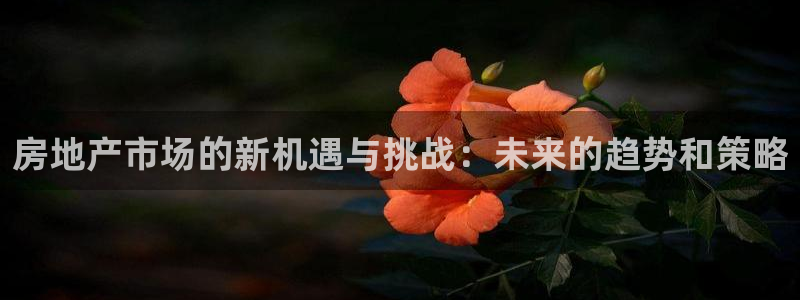 天狮娱乐指尖下载手机版：房地产市场的新机遇与挑战：未来的趋势