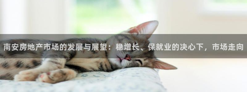 天狮娱乐84374 巅峰h：南安房地产市场的发展与展望：稳增