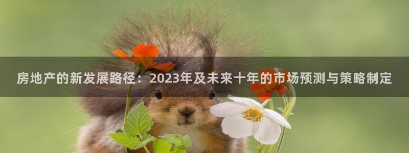 龙湖苏州狮山天街娱乐：房地产的新发展路径：2023年及未来十