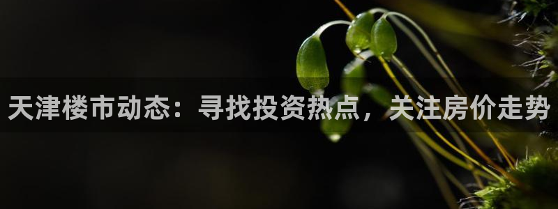 天狮娱乐主管29229