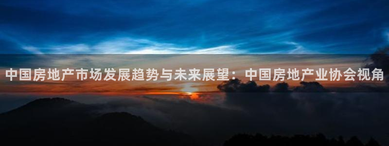 天狮娱乐如：中国房地产市场发展趋势与未来展望：中国房地产业协