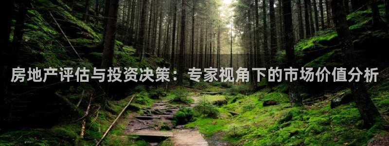 天狮娱乐无法登录怎么办：房地产评估与投资决策：专家视角下的市