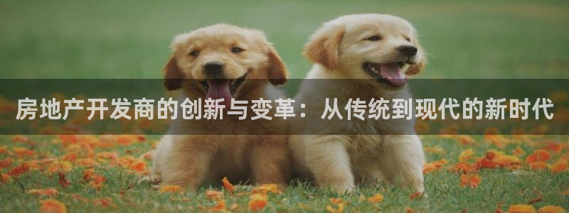 天狮娱乐84374 巅峰h：房地产开发商的创新与变革：从传统