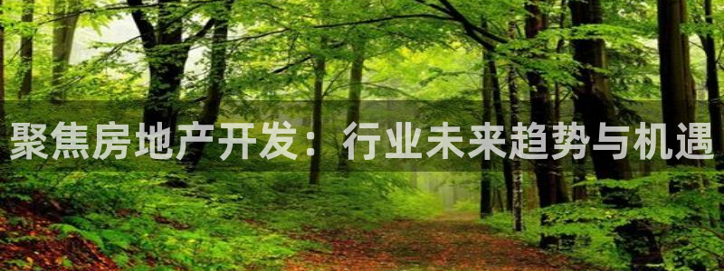 天狮娱乐 a招商60447：聚焦房地产开发：行业未来趋势与机
