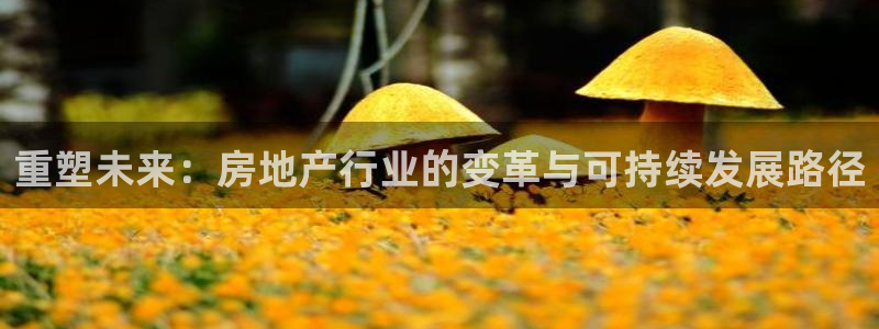 天狮娱乐 a主管98663：重塑未来：房地产行业的变革与可持
