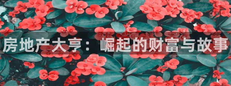 天狮娱乐 a内部29229：房地产大亨：崛起的财富与故事