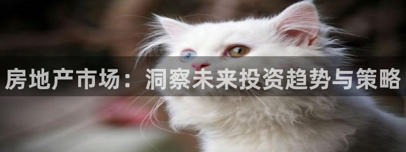 天狮娱乐_99399天神_加扣C：房地产市场：洞察未来投资趋