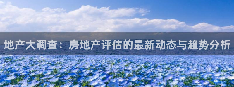 天狮娱乐主管：地产大调查：房地产评估的最新动态与趋势分析