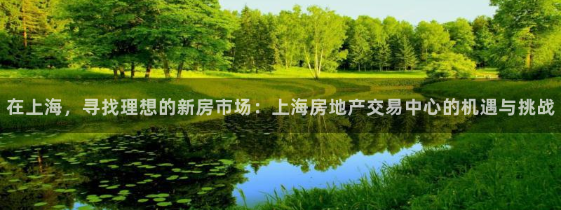 天狮娱乐股东29229：在上海，寻找理想的新房市场：上海房地