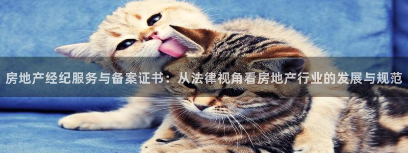 天狮娱乐登录网址：房地产经纪服务与备案证书：从法律视角看房地