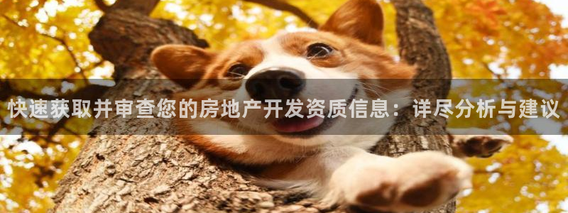 天狮娱乐彩票怎么样：快速获取并审查您的房地产开发资质信息：详