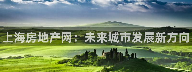 天狮娱乐 运营88383x：上海房地产网：未来城市发展新方向