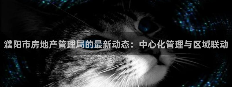 天狮娱乐(主管 )：濮阳市房地产管理局的最新动态：中心化管理