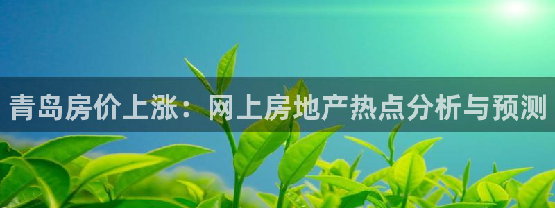 天狮娱乐指尖下载官网：青岛房价上涨：网上房地产热点分析与预测