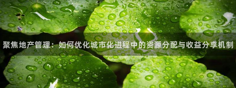 天狮娱乐d 判官：聚焦地产管理：如何优化城市化进程中的资源分