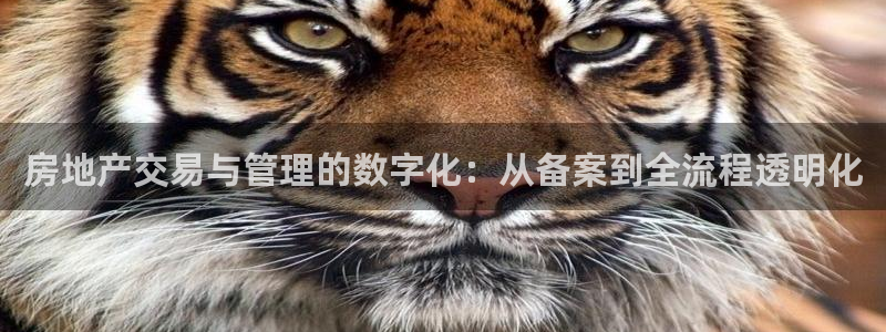 天狮娱乐29e判官333OO：房地产交易与管理的数字化：从备