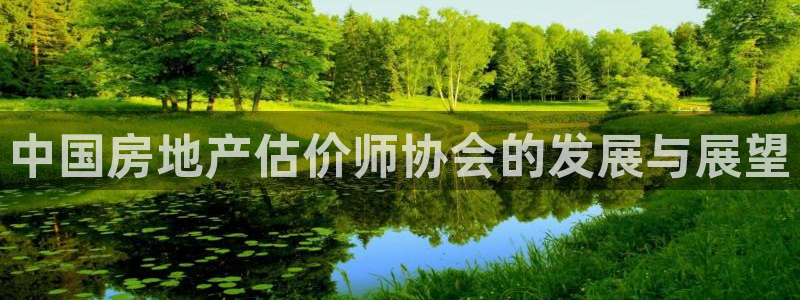 天狮娱乐会员：中国房地产估价师协会的发展与展望