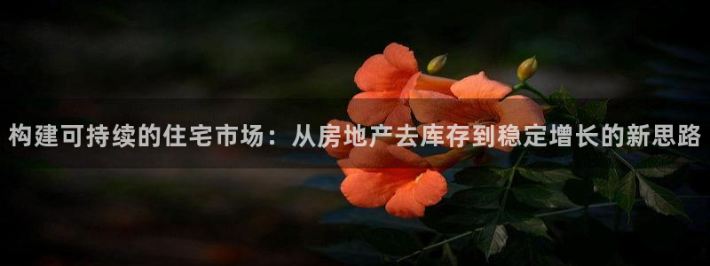 天狮娱乐经：构建可持续的住宅市场：从房地产去库存到稳定增长的