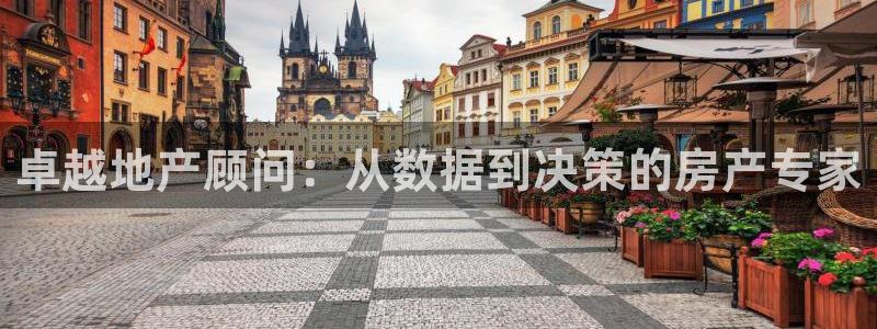 天狮娱乐e 判官：卓越地产顾问：从数据到决策的房产专家