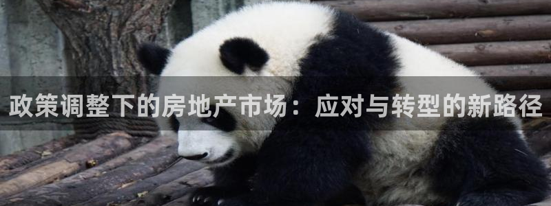天狮娱乐手机挂机：政策调整下的房地产市场：应对与转型的新路径