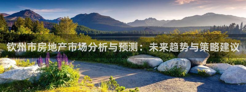 天狮娱乐q 找108306：钦州市房地产市场分析与预测：未来