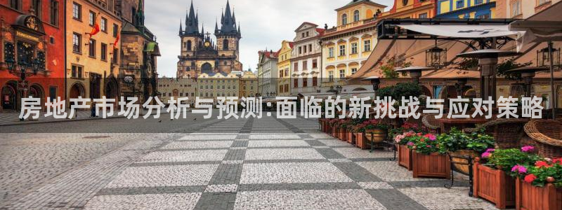 天狮娱乐 b运营61166：房地产市场分析与预测:面临的新挑