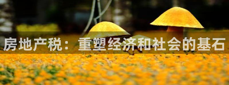 天狮娱乐平台怎么样：房地产税：重塑经济和社会的基石