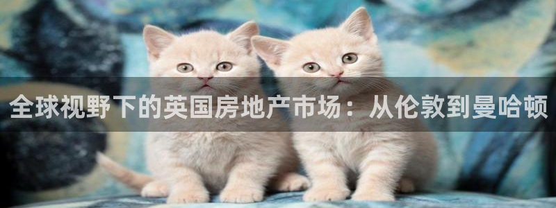 天狮娱乐代理首页：全球视野下的英国房地产市场：从伦敦到曼哈顿