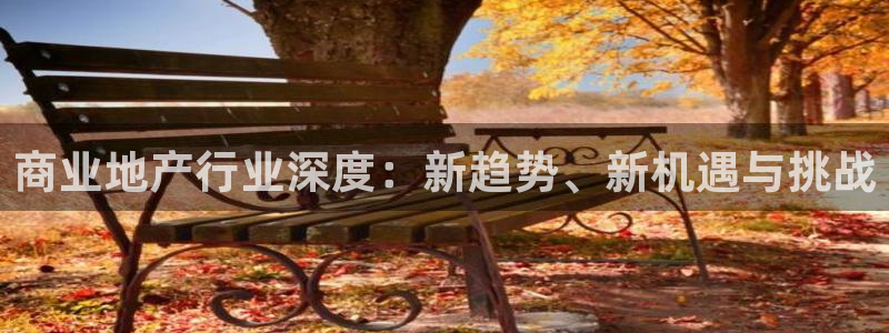 天狮娱乐湫33 300：商业地产行业深度：新趋势、新机遇与挑