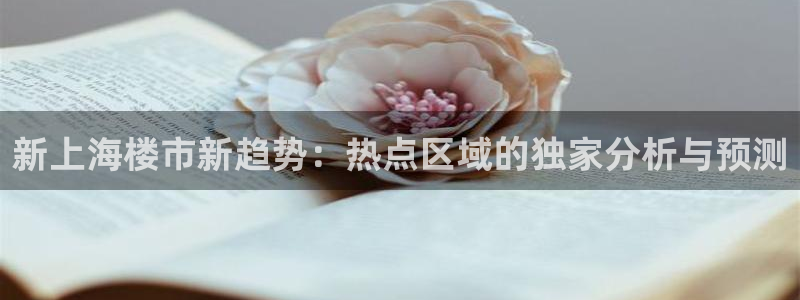 天狮娱乐下载app