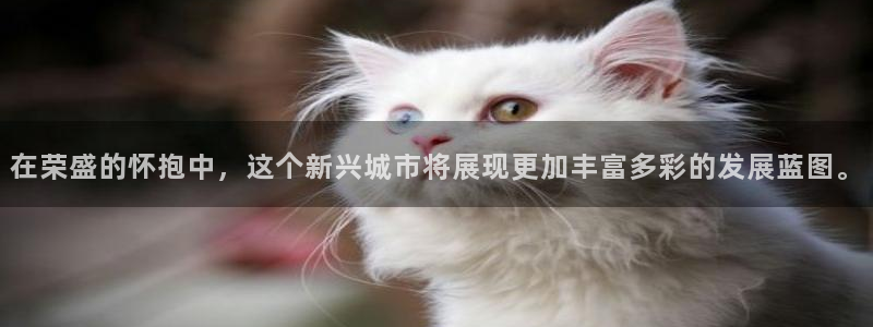 天狮娱乐挂机风险：在荣盛的怀抱中，这个新兴城市将展现更加丰富